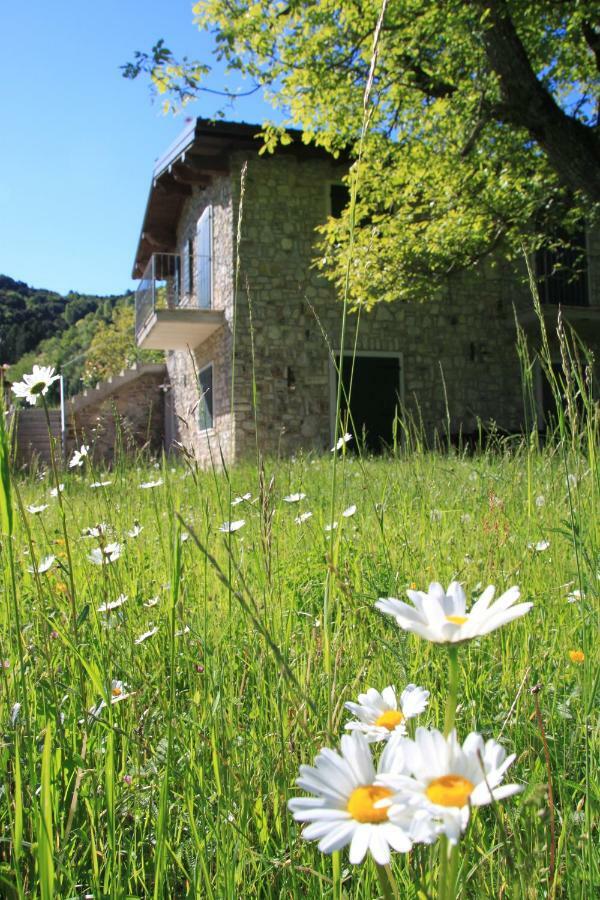 Ca Del Gari Villa Tremosine Bagian luar foto